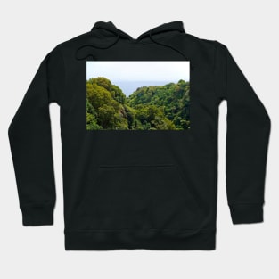 Road to Hana Study 08 Hoodie